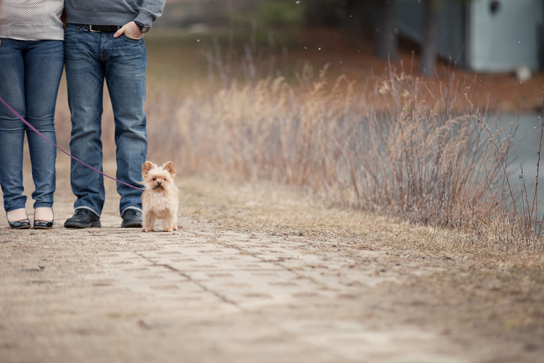 Cute dog engagement with nj wedding photographer