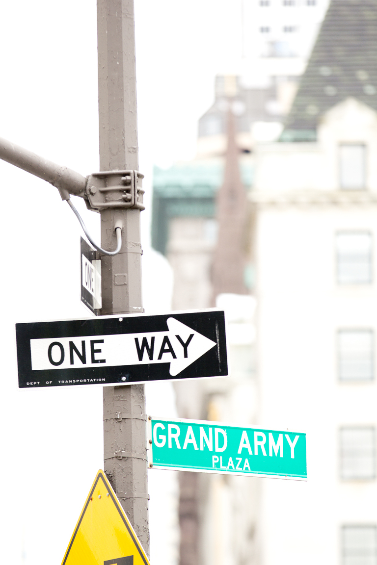 Grand Army Plaza Engagement Session